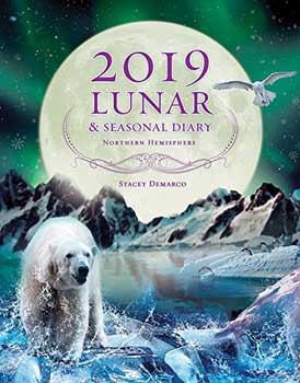 2019 Lunar & Seasonal Diary by Stacey Demarco