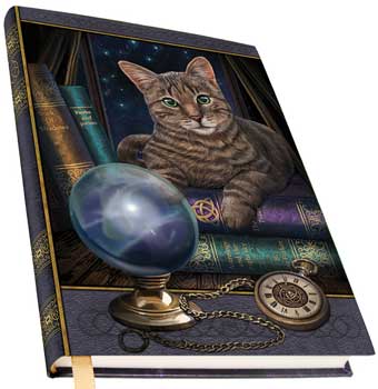 Fortune Teller journal